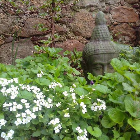 Le Clos De La Source Bed & Breakfast Le Bousquet-d'Orb Luaran gambar