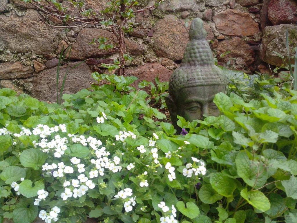 Le Clos De La Source Bed & Breakfast Le Bousquet-d'Orb Luaran gambar